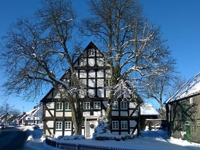 Home In Wissinghausen With Private Sauna Medebach Dış mekan fotoğraf